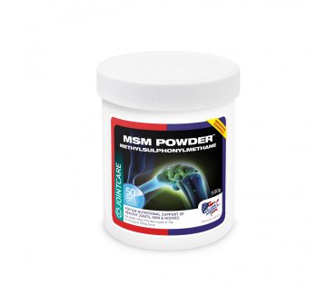MSM Powder
